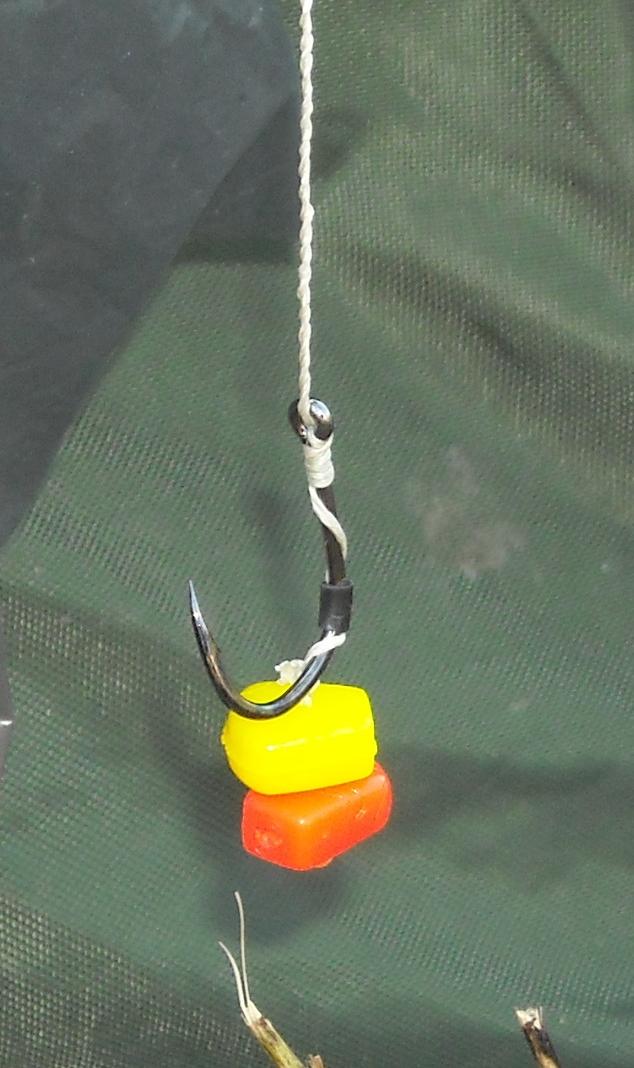 Cupa Romaniei - Hobaia 2010 - dscn6710-2.jpg